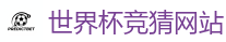 世界杯现金网_2026世界杯买球官方网站